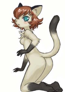 Rating: Questionable Score: 0 Tags: 2012 4_fingers anthro biped black_body black_fur black_tail blue_eyes blush breasts brown_hair butt chest_tuft clothing digital_media_(artwork) dipstick_tail domestic_cat e621 featureless_breasts felid feline felis female fingers fur gloves_(marking) grey_body grey_fur grey_tail hair inner_ear_fluff kemono kneeling leg_markings looking_at_viewer looking_back looking_back_at_viewer low_res mammal markings multicolored_body multicolored_fur multicolored_tail nude oekaki pib short_hair side_boob simple_background slim small_breasts socks_(marking) solo tail tail_markings tuft two_tone_body two_tone_fur two_tone_tail white_background User: bunchy7s Rating: Questionable Score: 0 Tags: 2012 4_fingers anthro biped black_body black_fur black_tail blue_eyes blush breasts brown_hair butt chest_tuft clothing digital_media_(artwork) dipstick_tail domestic_cat e621 featureless_breasts felid feline felis female fingers fur gloves_(marking) grey_body grey_fur grey_tail hair inner_ear_fluff kemono kneeling leg_markings looking_at_viewer looking_back looking_back_at_viewer low_res mammal markings multicolored_body multicolored_fur multicolored_tail nude oekaki pib short_hair side_boob simple_background slim small_breasts socks_(marking) solo tail tail_markings tuft two_tone_body two_tone_fur two_tone_tail white_background User: bunchy7s