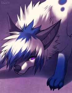 Rating: Safe Score: 0 Tags: 2012 canid canine digital_media_(artwork) e621 falvie feral fox fur hi_res jesse_frostbite looking_at_viewer male mammal purple_eyes solo white_body white_fur User: bunchy7s