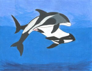 Rating: Explicit Score: 0 Tags: absurd_res adleisio adleisio_(character) animal_genitalia animal_penis aora aquatic cetacean cetacean_genitalia cetacean_penis commerson dolphin duo e621 erection female female_penetrated feral fully/fully_submerged fully_submerged genitals hi_res male male/female male_penetrating male_penetrating_female mammal nude oceanic_dolphin penetration penis sex sex_in_water tapering_penis toothed_whale underwater underwater_sex water white-beaked_dolphin User: bunchy7s