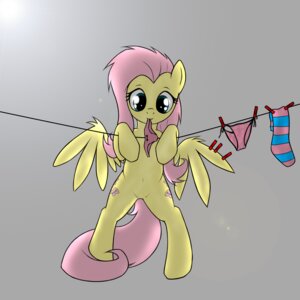 Rating: Safe Score: 0 Tags: 1:1 clothes_line clothing cutie_mark e621 equid equine feathered_wings feathers female feral fluttershy_(mlp) footwear friendship_is_magic glistening glistening_eyes grey_background hair hasbro laundry legwear mammal my_little_pony mythological_creature mythological_equine mythology navel panties pegasus pink_hair pink_tail rainbow_(artist) simple_background socks solo tail underwear white_background wings yellow_body yellow_feathers User: bunchy7s Rating: Safe Score: 0 Tags: 1:1 clothes_line clothing cutie_mark e621 equid equine feathered_wings feathers female feral fluttershy_(mlp) footwear friendship_is_magic glistening glistening_eyes grey_background hair hasbro laundry legwear mammal my_little_pony mythological_creature mythological_equine mythology navel panties pegasus pink_hair pink_tail rainbow_(artist) simple_background socks solo tail underwear white_background wings yellow_body yellow_feathers User: bunchy7s