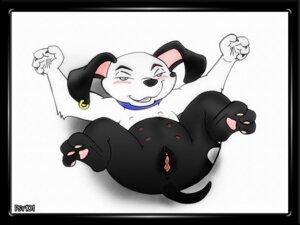 Rating: Explicit Score: 0 Tags: 101_dalmatians canine cub disney dog female female_only feral fur mammal pussy rule34 solo tagme two-tone User: bunchy7s Rating: Explicit Score: 0 Tags: 101_dalmatians canine cub disney dog female female_only feral fur mammal pussy rule34 solo tagme two-tone User: bunchy7s