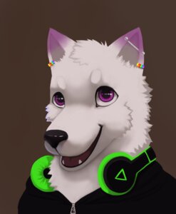 Rating: Safe Score: 0 Tags: anthro black_nose brown_background bust_portrait canid canine canis clothing e621 ear_piercing electronics fur headphones headphones_around_neck hi_res hoodie male mammal minibabylizard music open_mouth piercing portrait purple_eyes rainbow simple_background smile solo topwear white_body white_fur wolf zipper User: bunchy7s