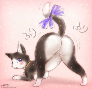 Rating: Questionable Score: 0 Tags: accessory blush bow_(feature) bow_accessory bow_ribbon breasts busty_feral butt collar domestic_cat e621 felid feline felis female feral furgonomics looking_at_viewer looking_back mammal melonleaf open_mouth pose presenting presenting_hindquarters rear_view ribbons solo tail tail_accessory tail_bow tail_ribbon User: bunchy7s Rating: Questionable Score: 0 Tags: accessory blush bow_(feature) bow_accessory bow_ribbon breasts busty_feral butt collar domestic_cat e621 felid feline felis female feral furgonomics looking_at_viewer looking_back mammal melonleaf open_mouth pose presenting presenting_hindquarters rear_view ribbons solo tail tail_accessory tail_bow tail_ribbon User: bunchy7s