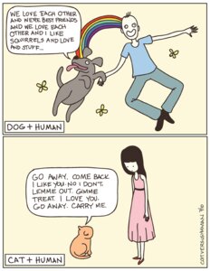 Rating: Safe Score: 0 Tags: 2010 :d ambient_arthropod ambient_butterfly ambient_flier ambient_insect arthropod black_hair bottomwear brown_body brown_fur butterfly calling_for_release caption_box cat_versus_human clothing comic command command_to_leave dialogue domestic_cat dress duo duo_focus e621 english_text felid feline felis female feral fur group hair human i_love_you insect jersey jumping lepidopteran male mammal multiple_images orange_body orange_fur pants quadruped rainbow shirt sitting smile species_in_dialogue speech_bubble standing tail talking_to_another text text_box tongue tongue_out topwear victor_surovec yasmine_surovec yasmine_surovec_(character) User: bunchy7s Rating: Safe Score: 0 Tags: 2010 :d ambient_arthropod ambient_butterfly ambient_flier ambient_insect arthropod black_hair bottomwear brown_body brown_fur butterfly calling_for_release caption_box cat_versus_human clothing comic command command_to_leave dialogue domestic_cat dress duo duo_focus e621 english_text felid feline felis female feral fur group hair human i_love_you insect jersey jumping lepidopteran male mammal multiple_images orange_body orange_fur pants quadruped rainbow shirt sitting smile species_in_dialogue speech_bubble standing tail talking_to_another text text_box tongue tongue_out topwear victor_surovec yasmine_surovec yasmine_surovec_(character) User: bunchy7s