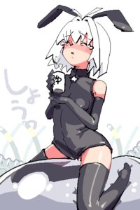 Rating: Explicit Score: 0 Tags: 1girls 2:3 animal_ear animated artist_request bare_shoulders blush bottomless bounce bouncing_breasts breasts bunny_ear coffee consensual_tentacles drink elbow_gloves erect_nipples female fumoe gloves jellyfish kaqo mabinogi nipples no_panties oekaki pussy red_eyes rule34 sex short_hair sleeveless sleeveless_turtleneck small_breasts tear tentacle thighhighs turtleneck uncensored vaginal_penetration vertical_video white_hair User: bunchy7s
