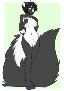 Rating: Explicit Score: 0 Tags: aimi animal_genitalia anthro balls blue_eyes breasts digital_media_(artwork) e621 fluffy fluffy_tail fully_sheathed genitals gynomorph hi_res intersex looking_at_viewer mammal mephitid myris nipples nude sheath simple_background skunk solo tail white_background User: bunchy7s