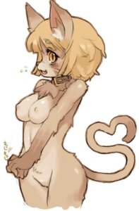 Rating: Questionable Score: 0 Tags: anthro biped blonde_hair blush breasts brown_nose chest_tuft collar collar_only domestic_cat e621 felid feline felis female fur gesture hair inner_ear_fluff kemono mammal nipples nude open_mouth pupils rikose short_hair simple_background slit_pupils smile solo standing tail tail_gesture tail_heart tan_body tan_fur text tuft ventral_groove white_background User: bunchy7s Rating: Questionable Score: 0 Tags: anthro biped blonde_hair blush breasts brown_nose chest_tuft collar collar_only domestic_cat e621 felid feline felis female fur gesture hair inner_ear_fluff kemono mammal nipples nude open_mouth pupils rikose short_hair simple_background slit_pupils smile solo standing tail tail_gesture tail_heart tan_body tan_fur text tuft ventral_groove white_background User: bunchy7s