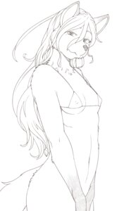 Rating: Questionable Score: 0 Tags: 2012 anthro bikini bottomless breasts canid canine clothed clothing e621 female fox hair hi_res long_hair looking_at_viewer mammal monochrome navel sindoll skimpy small_breasts smile solo string_bikini swimwear tail two-piece_swimsuit User: bunchy7s