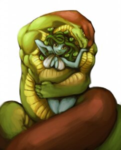 Rating: Safe Score: 0 Tags: apode ben-ben blue_body blue_skin breasts draconcopode duo e621 european_mythology female greek_mythology hi_res hug legless living_hair looking_at_viewer male medusa muscular mythology naga non-mammal_breasts pseudo_hair reptile romantic romantic_couple scalie serpentine simple_background snake snake_hair yellow_eyes User: bunchy7s