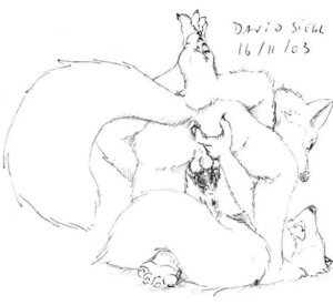 Rating: Explicit Score: 0 Tags: anus asthexiancal balls disney female fox fox_girl maid_marian male penis robin_hood_(character) robin_hood_(disney) rule34 tagme testicles User: bunchy7s