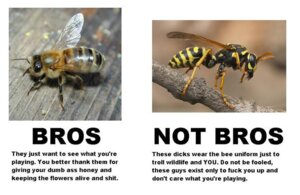 Rating: Safe Score: 0 Tags: ambiguous_gender arthropod bee comparison duo e621 english_text feral fuzzy grandfathered_content humor hymenopteran insect meme profanity real speciesism stinger text the_truth unknown_artist vespid wasp yellowjacket_(wasp) User: bunchy7s Rating: Safe Score: 0 Tags: ambiguous_gender arthropod bee comparison duo e621 english_text feral fuzzy grandfathered_content humor hymenopteran insect meme profanity real speciesism stinger text the_truth unknown_artist vespid wasp yellowjacket_(wasp) User: bunchy7s