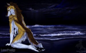 Rating: Questionable Score: 0 Tags: anthro beach canid canine canis detailed_background e621 looking_at_viewer lunar_prodigy male mammal night nude nude_beach outside sea seaside shaddie shadowwolf solo suggestive tail water wolf User: bunchy7s Rating: Questionable Score: 0 Tags: anthro beach canid canine canis detailed_background e621 looking_at_viewer lunar_prodigy male mammal night nude nude_beach outside sea seaside shaddie shadowwolf solo suggestive tail water wolf User: bunchy7s
