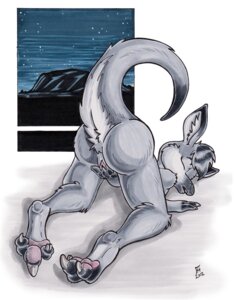 Rating: Explicit Score: 0 Tags: 2012 all_fours anthro ass_up digitigrade e621 eyes_closed feet female fingering fingering_self flinters fur genitals grey_body grey_fur hindpaw kangaroo macropod mammal marsupial masturbation nude paws presenting raised_tail solo tail vaginal vaginal_masturbation vulva User: bunchy7s