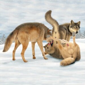 Rating: Explicit Score: 0 Tags: anatomically_correct anatomically_correct_genitalia anatomically_correct_vulva animal_genitalia animal_vulva anus balls bodily_fluids canid canine canine_genitalia canine_vulva canis cloud cum cum_in_vagina cum_inside e621 ebon_lupus female feral feral_on_feral genital_fluids genitals group intraspecies licking lying male mammal northwestern_wolf on_back outside penis sheath sky snow tail tongue tongue_out vulva wolf User: bunchy7s Rating: Explicit Score: 0 Tags: anatomically_correct anatomically_correct_genitalia anatomically_correct_vulva animal_genitalia animal_vulva anus balls bodily_fluids canid canine canine_genitalia canine_vulva canis cloud cum cum_in_vagina cum_inside e621 ebon_lupus female feral feral_on_feral genital_fluids genitals group intraspecies licking lying male mammal northwestern_wolf on_back outside penis sheath sky snow tail tongue tongue_out vulva wolf User: bunchy7s