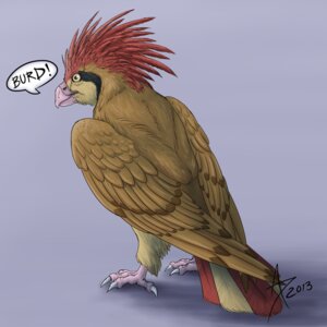 Rating: Safe Score: 0 Tags: 1:1 2013 ambiguous_gender avian beak bird captaincougar dialogue e621 english_text feathered_wings feathers feet feral generation_1_pokemon looking_back nintendo pidgeotto pokemon pokemon_(species) realistic signature simple_background solo speech_bubble standing tail tail_feathers talons text toes wings User: bunchy7s Rating: Safe Score: 0 Tags: 1:1 2013 ambiguous_gender avian beak bird captaincougar dialogue e621 english_text feathered_wings feathers feet feral generation_1_pokemon looking_back nintendo pidgeotto pokemon pokemon_(species) realistic signature simple_background solo speech_bubble standing tail tail_feathers talons text toes wings User: bunchy7s