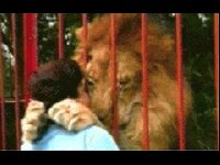 Rating: Safe Score: 0 Tags: 4:3 animated animated_gif duo e621 felid feral grandfathered_content hug human kissing lion low_res male mammal pantherine real short_playtime thumbnail unknown_artist User: bunchy7s Rating: Safe Score: 0 Tags: 4:3 animated animated_gif duo e621 felid feral grandfathered_content hug human kissing lion low_res male mammal pantherine real short_playtime thumbnail unknown_artist User: bunchy7s