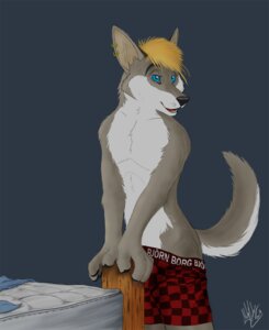 Rating: Safe Score: 0 Tags: anthro bedroom blonde_hair blue_eyes boxers_(clothing) canid canine canis chasington clothed clothing e621 ear_piercing hair looking_at_viewer male mammal open_mouth piercing solo topless underwear wolf User: bunchy7s Rating: Safe Score: 0 Tags: anthro bedroom blonde_hair blue_eyes boxers_(clothing) canid canine canis chasington clothed clothing e621 ear_piercing hair looking_at_viewer male mammal open_mouth piercing solo topless underwear wolf User: bunchy7s