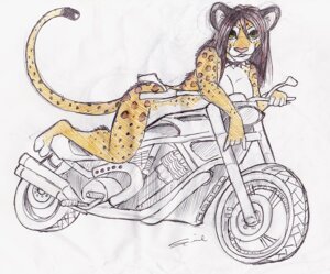 Rating: Safe Score: 0 Tags: anthro breasts e621 felid female hair leopard looking_at_viewer mammal motorcycle nude pantherine pinup pose shiverz sketch solo tail vehicle User: bunchy7s Rating: Safe Score: 0 Tags: anthro breasts e621 felid female hair leopard looking_at_viewer mammal motorcycle nude pantherine pinup pose shiverz sketch solo tail vehicle User: bunchy7s