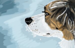 Rating: Safe Score: 0 Tags: ambiguous_gender black_nose blue_background brown_body brown_fur canid canine canis detailed digital_media_(artwork) digital_painting_(artwork) domestic_dog e621 feral freckles fur gdane headshot_portrait mammal painting_(artwork) portrait realistic side_view simple_background solo textured_background white_body white_fur User: bunchy7s Rating: Safe Score: 0 Tags: ambiguous_gender black_nose blue_background brown_body brown_fur canid canine canis detailed digital_media_(artwork) digital_painting_(artwork) domestic_dog e621 feral freckles fur gdane headshot_portrait mammal painting_(artwork) portrait realistic side_view simple_background solo textured_background white_body white_fur User: bunchy7s