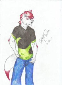 Rating: Safe Score: 0 Tags: anthro black_nose canid canine canis clothing darklycan e621 fur hair hi_res male mammal red_eyes red_hair solo white_body white_fur wolf User: bunchy7s
