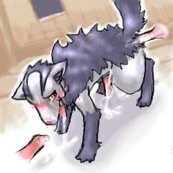 Rating: Explicit Score: 0 Tags: anthro color cum disembodied_penis feral fur furry insertion male male_only mightyena multiple_males nintendo nude penis pokemon pokemon_rse rule34 tagme yaoi User: bunchy7s Rating: Explicit Score: 0 Tags: anthro color cum disembodied_penis feral fur furry insertion male male_only mightyena multiple_males nintendo nude penis pokemon pokemon_rse rule34 tagme yaoi User: bunchy7s