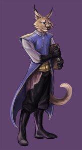 Rating: Safe Score: 0 Tags: anthro book boots caracal caracal_(genus) clothing e621 ear_piercing felid feline footwear gloves green_eyes handwear hi_res lynx male mammal piercing pupils saeto15 shoes slit_pupils solo tail User: bunchy7s