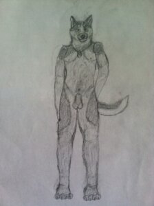 Rating: Explicit Score: 0 Tags: animal_genitalia anthro biped canid canine canis domestic_dog e621 fully_sheathed genitals graphite_(artwork) greyscale husky husky125 jewelry looking_at_viewer male mammal monochrome necklace nordic_sled_dog nude sheath simple_background solo spitz standing traditional_media_(artwork) white_background User: bunchy7s