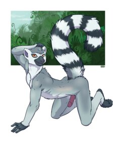 Rating: Explicit Score: 0 Tags: 2011 4_toes 5_fingers all_fours anthro barefoot biped day e621 erection facial_markings feet fingers fur genitals grey_body grey_fur hand_on_head head_markings humanoid_genitalia humanoid_hands humanoid_penis iggi lemur licking licking_lips licking_own_lips looking_aside looking_at_viewer male mammal markings muzzle_(marking) nude orange_eyes outside penis plant pose primate raised_tail ring-tailed_lemur self_lick shrub side_view sky smile snout snout_markings solo strepsirrhine stripes tail toes tongue tongue_out white_body white_fur User: bunchy7s