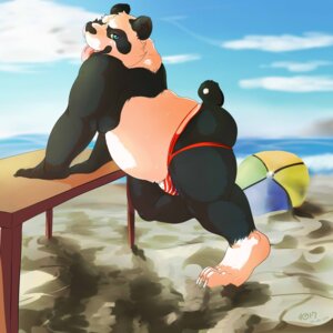 Rating: Questionable Score: 0 Tags: 1:1 2013 anthro ball beach beach_ball bear blue_eyes butt clothing e621 fur furniture giant_panda hi_res inflatable jockstrap looking_at_viewer male mammal moogle_(character) musclegut muscular outside pool_toy rumash sand seaside sky slightly_chubby solo table underwear User: bunchy7s