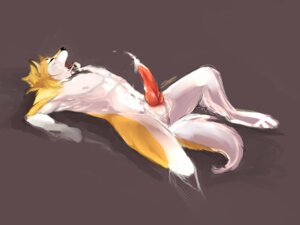 Rating: Explicit Score: 0 Tags: 2013 4:3 akita animal_genitalia animal_penis anthro balls bodily_fluids canid canine canine_genitalia canine_penis canis cum domestic_dog e621 erection fur genital_fluids genitals knot male mammal penis simple_background solo spitz suyi white_body white_fur yellow_body yellow_fur User: bunchy7s Rating: Explicit Score: 0 Tags: 2013 4:3 akita animal_genitalia animal_penis anthro balls bodily_fluids canid canine canine_genitalia canine_penis canis cum domestic_dog e621 erection fur genital_fluids genitals knot male mammal penis simple_background solo spitz suyi white_body white_fur yellow_body yellow_fur User: bunchy7s