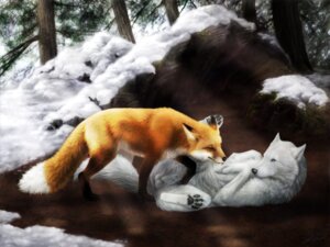 Rating: Explicit Score: 0 Tags: 2012 4:3 4_toes ambiguous_gender animal_genitalia balls black_body black_claws black_fur black_nose blue_eyes canid canine canis claws day digitigrade dipstick_tail draccor duo e621 ears_back eyes_closed feet feral fox fully_sheathed fur genitals hindpaw inner_ear_fluff jocarra leg_markings licking light long_mouth lying male mammal markings no_sclera nude on_back orange_body orange_fur outside pawpads paws pivoted_ears plant quadruped realistic red_fox romantic romantic_ambiance romantic_couple shadow sheath snout snow socks_(marking) sunlight tail tail_markings toes tongue tongue_out tree true_fox tuft whiskers white_body white_fur winter wolf wood User: bunchy7s