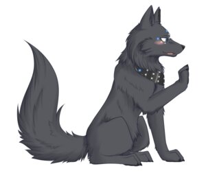 Rating: Safe Score: 0 Tags: ambiguous_gender blue_eyes blush canid canine canis collar e621 feral fur grey_body grey_fur low_res mammal open_mouth paws raised_paw simple_background sitting solo studded_collar studs tragedy-wolf white_background wolf User: bunchy7s