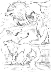 Rating: Safe Score: 0 Tags: ambiguous_gender battle_wolf canid canine canis cloth digitigrade e621 feral fur graphite_(artwork) karasu-dou_(pixiv) mammal monochrome multiple_poses pose quadruped solo tail terry_cloth toriko_(series) traditional_media_(artwork) wolf User: bunchy7s Rating: Safe Score: 0 Tags: ambiguous_gender battle_wolf canid canine canis cloth digitigrade e621 feral fur graphite_(artwork) karasu-dou_(pixiv) mammal monochrome multiple_poses pose quadruped solo tail terry_cloth toriko_(series) traditional_media_(artwork) wolf User: bunchy7s