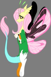 Rating: Safe Score: 0 Tags: 2:3 alpha_channel alternate_species antennae_(anatomy) blue_eyes cdla chimera draconequus e621 fangs female feral fluttershy_(mlp) friendship_is_magic hair hasbro insect_wings lepidopteran_wings looking_at_viewer my_little_pony pink_hair simple_background smile solo tail tail_tuft teeth transparent_background tuft wings User: bunchy7s