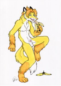 Rating: Explicit Score: 0 Tags: animal_genitalia anthro balls banana biped canid canine e621 food food_fetish fox fruit genitals hair kwik_(artist) male mammal nude penis penis_tip plant sheath simple_background solo suggestive suggestive_food tail white_background User: bunchy7s