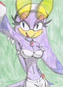 Rating: Questionable Score: 0 Tags: anthro avian beak big_breasts bird blue_eyes blush bottomwear breasts cleavage clothed clothing colored_pencil_(artwork) e621 eyewear eyewear_on_head female gloves green_background handwear hirundinid kerchief midriff mixed_media navel non-mammal_breasts oscine pants passerine pen_(artwork) purple_body sega simple_background solo sonic_riders sonic_the_hedgehog_(series) sunglasses swallow_(bird) traditional_media_(artwork) uzzthehedgehog wave_the_swallow User: bunchy7s