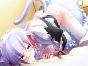 Rating: Explicit Score: 0 Tags: accessory alarm_clock all_fours animal_humanoid bed blue_hair blush book bottomless bottomwear bow_(feature) bow_accessory bow_ribbon bra breasts cat_humanoid clock clothed clothing clothing_lift crotch_rub cuff_links digital_media_(artwork) e621 felid felid_humanoid feline feline_humanoid female frilly frilly_accessory frilly_hairband furniture garter_belt garter_straps grinding hair hair_accessory hair_bow hair_ribbon hairband human humanoid improvised_sex_toy lace legwear lingerie maid_uniform mammal mammal_humanoid masturbation mouth_hold nipples open_clothing open_shirt open_topwear pillow pillow_humping raised_bottomwear raised_clothing raised_skirt ribbons shirt shirt_lift short_hair skirt solo stockings tail thigh_highs topwear underwear uniform unknown_artist User: bunchy7s Rating: Explicit Score: 0 Tags: accessory alarm_clock all_fours animal_humanoid bed blue_hair blush book bottomless bottomwear bow_(feature) bow_accessory bow_ribbon bra breasts cat_humanoid clock clothed clothing clothing_lift crotch_rub cuff_links digital_media_(artwork) e621 felid felid_humanoid feline feline_humanoid female frilly frilly_accessory frilly_hairband furniture garter_belt garter_straps grinding hair hair_accessory hair_bow hair_ribbon hairband human humanoid improvised_sex_toy lace legwear lingerie maid_uniform mammal mammal_humanoid masturbation mouth_hold nipples open_clothing open_shirt open_topwear pillow pillow_humping raised_bottomwear raised_clothing raised_skirt ribbons shirt shirt_lift short_hair skirt solo stockings tail thigh_highs topwear underwear uniform unknown_artist User: bunchy7s