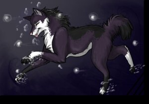 Rating: Safe Score: 0 Tags: ambiguous_gender black_body black_fur bubble canid canine canis darkarctik digitigrade domestic_dog e621 feral fur mammal orange_eyes purple_body purple_fur quadruped solo tail tongue tongue_out underwater water User: bunchy7s Rating: Safe Score: 0 Tags: ambiguous_gender black_body black_fur bubble canid canine canis darkarctik digitigrade domestic_dog e621 feral fur mammal orange_eyes purple_body purple_fur quadruped solo tail tongue tongue_out underwater water User: bunchy7s