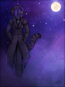 Rating: Safe Score: 0 Tags: 2012 anthro black_nose clothed clothing collar e621 felid female hair heart_symbol hi_res mammal mira_(neko-maya) moon neotheta night outside pantherine purple_eyes purple_hair sky solo spots star starry_sky tail User: bunchy7s