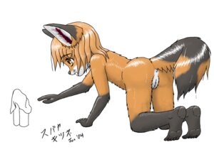 Rating: Explicit Score: 0 Tags: anthro anus brown_eyes canid canine e621 female fox genitals loli mammal nude simple_background solo subaya_kitsune tail vulva wet white_background young young_anthro young_female User: bunchy7s