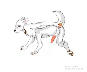 Rating: Explicit Score: 0 Tags: anal_masturbation anal_penetration animal_genitalia anthro balls bolt_(bolt) bolt_(film) canine carrot_in_ass collar disney dog fur furry male male_only nude penis rule34 solo tagme tail testicles umbras User: bunchy7s