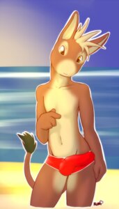 Rating: Explicit Score: 0 Tags: 2010 anthro asinus bare_chest beach biped brown_body brown_fur brown_tail bulge choko_(chokodonkey) clothed clothing collarbone detailed_background detailed_bulge donkey e621 equid equine fur genital_outline kuni male mammal outside penis_outline sand seaside skimpy sky snout solo speedo standing swimwear tail tan_body tan_fur water yellow_eyes User: bunchy7s