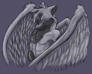 Rating: Safe Score: 0 Tags: anthro canid canine canis e621 feathered_wings feathers kiwaku male mammal solo tempest_omega wings wolf User: bunchy7s