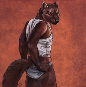Rating: Safe Score: 0 Tags: 2011 anthro biped blotch briefs brown_body brown_eyes brown_fur butt butt_pose clothed clothing clothing_pull e621 fur gulonine hi_res looking_aside looking_back male mammal marten mustelid musteline portrait pose scratches_volume_5 shirt slim small_butt smile solo standing suggestive tail tank_top three-quarter_portrait tighty_whities topwear traditional_media_(artwork) underwear underwear_pull undressing whiskers white_briefs white_clothing white_underwear User: bunchy7s