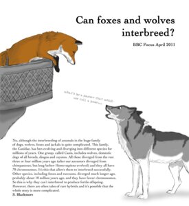 Rating: Safe Score: 0 Tags: 2011 absurd_res canid canine canis digitigrade duo e621 english_text female feral fox hi_res juliet male mammal meme parody quadruped simple_background text the_more_you_know unknown_artist white_background wolf User: bunchy7s Rating: Safe Score: 0 Tags: 2011 absurd_res canid canine canis digitigrade duo e621 english_text female feral fox hi_res juliet male mammal meme parody quadruped simple_background text the_more_you_know unknown_artist white_background wolf User: bunchy7s