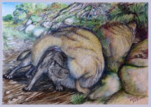 Rating: Safe Score: 0 Tags: ambiguous_gender border canid canine canis duo e621 feral fox mammal morbidly_obese obese outside overweight quadruped size_difference sky sssilver stuck tail white_border wolf User: bunchy7s