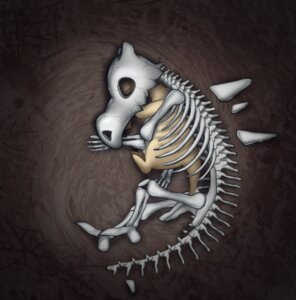 Rating: Safe Score: 0 Tags: 2014 ambiguous_gender anthro barefoot bird's-eye_view bone bone_mask cubone death dralsk duo e621 eyes_closed feels feet generation_1_pokemon grief high-angle_view lying mask mourning nintendo nude on_ground on_side pokemon pokemon_(species) reptile sad scalie skeleton skull skull_mask sleeping solo_focus User: bunchy7s Rating: Safe Score: 0 Tags: 2014 ambiguous_gender anthro barefoot bird's-eye_view bone bone_mask cubone death dralsk duo e621 eyes_closed feels feet generation_1_pokemon grief high-angle_view lying mask mourning nintendo nude on_ground on_side pokemon pokemon_(species) reptile sad scalie skeleton skull skull_mask sleeping solo_focus User: bunchy7s