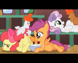 Rating: Explicit Score: 0 Tags: 2012 5:4 abdominal_bulge amber_eyes anus apple_bloom_(mlp) avian beak bird brown_body brown_feathers cavity_storage chicken chicken_coop cutie_mark_crusaders_(mlp) e621 earth_pony egg egg_insertion egg_play elizabeak equid equine facelessjr feathered_wings feathers female female/female feral friendship_is_magic fur galliform genitals green_eyes group hair hasbro hay horn horse improvised_sex_toy loli mammal multicolored_hair my_little_pony mythological_creature mythological_equine mythology on_model orange_body orange_feathers orange_fur oviposition pegasus penetration phasianid pony purple_eyes purple_hair raised_tail red_hair scootaloo_(mlp) sweetie_belle_(mlp) tail two_tone_hair unicorn vaginal vaginal_penetration vaginal_storage vulva what white_body white_feathers white_fur wings young young_feral User: bunchy7s