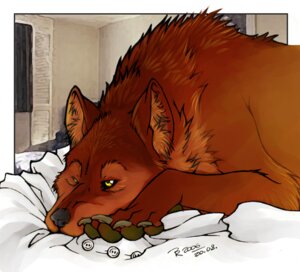 Rating: Safe Score: 0 Tags: 2006 bed_sheet bedding black_nose brown_claws canid canine canis claws detailed_background e621 feral fur inner_ear_fluff jidane male mammal orange_body orange_fur solo tired tuft wolf yellow_eyes User: bunchy7s Rating: Safe Score: 0 Tags: 2006 bed_sheet bedding black_nose brown_claws canid canine canis claws detailed_background e621 feral fur inner_ear_fluff jidane male mammal orange_body orange_fur solo tired tuft wolf yellow_eyes User: bunchy7s