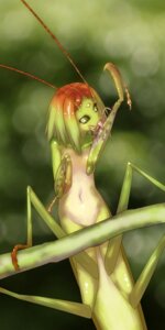 Rating: Safe Score: 0 Tags: 1:2 antennae_(anatomy) aomi_mayoru arthropod cleaning convenient_censorship e621 female hi_res insect mandibles mantis multi_limb solo User: bunchy7s Rating: Safe Score: 0 Tags: 1:2 antennae_(anatomy) aomi_mayoru arthropod cleaning convenient_censorship e621 female hi_res insect mandibles mantis multi_limb solo User: bunchy7s